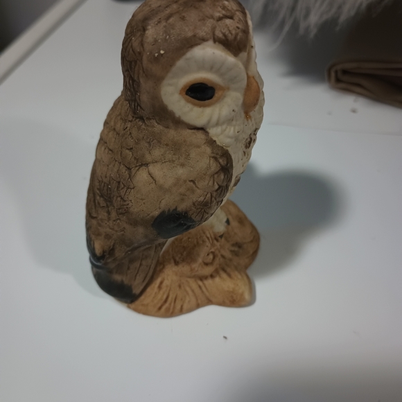 Pay what you want!!!!      Cute little vintage Owl. - Picture 7 of 7